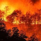 Les assureurs sous les feux des perturbations climatiques
